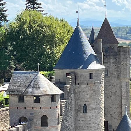 Appartement Tres Calme, Rdc, 800 M De La Cite Medievale Classee Au Patrimoine De L'Unesco Carcassonne Eksteriør billede
