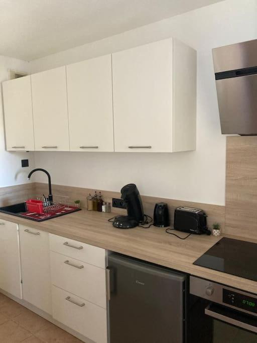 Appartement Tres Calme, Rdc, 800 M De La Cite Medievale Classee Au Patrimoine De L'Unesco Carcassonne Eksteriør billede