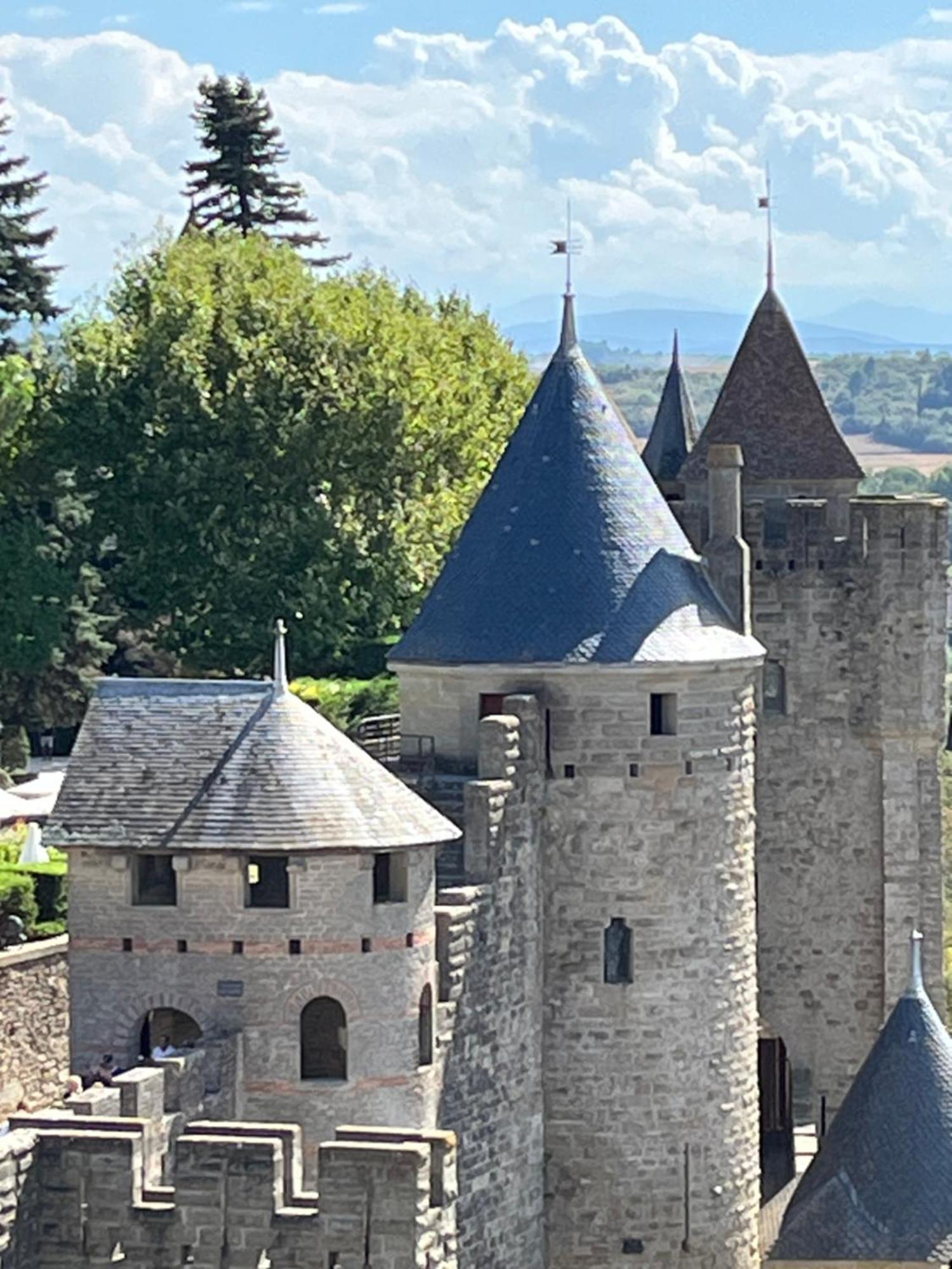 Appartement Tres Calme, Rdc, 800 M De La Cite Medievale Classee Au Patrimoine De L'Unesco Carcassonne Eksteriør billede